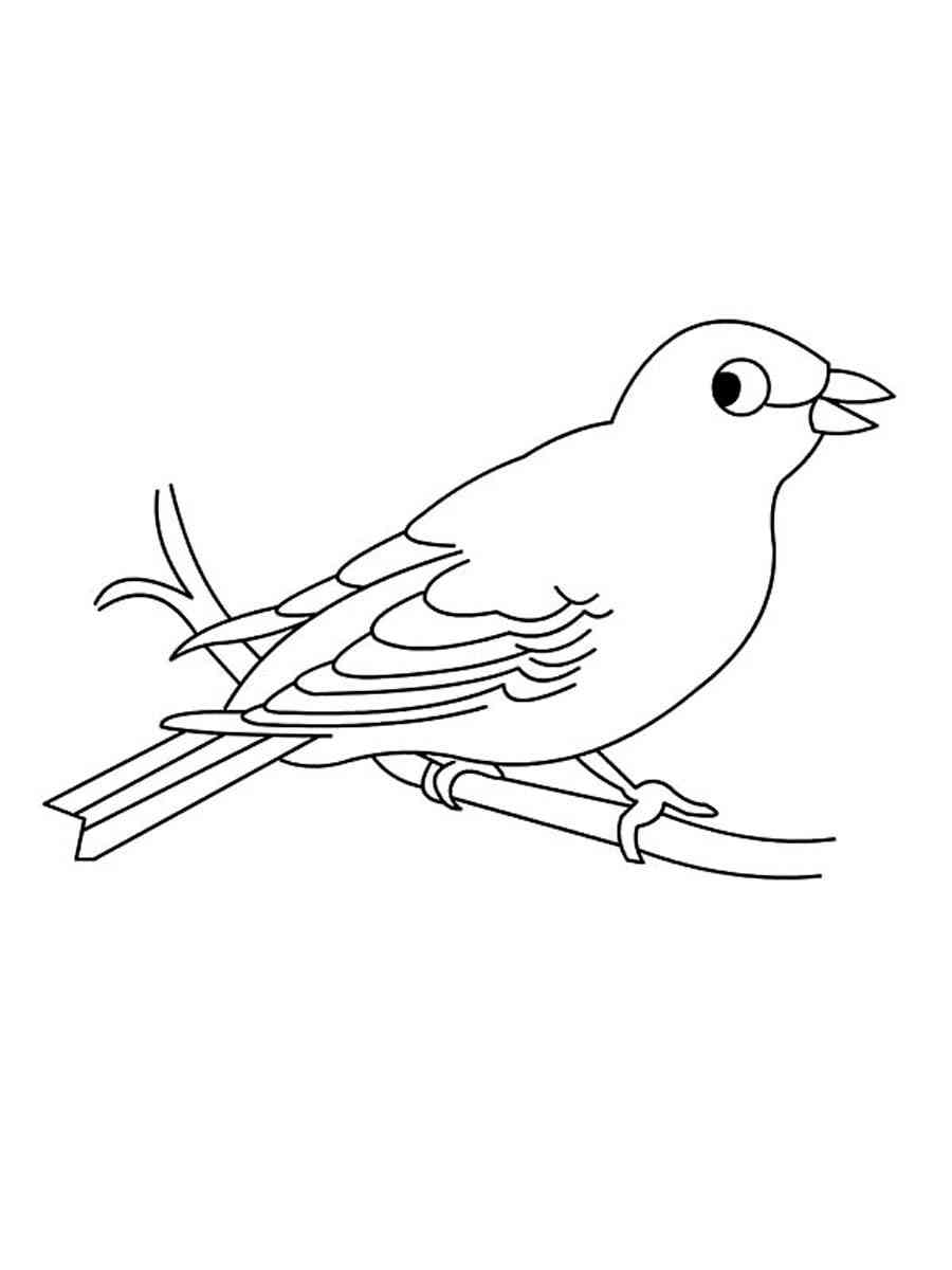 Funny Canary coloring page