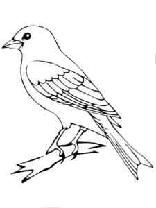 Canary 22 coloring page