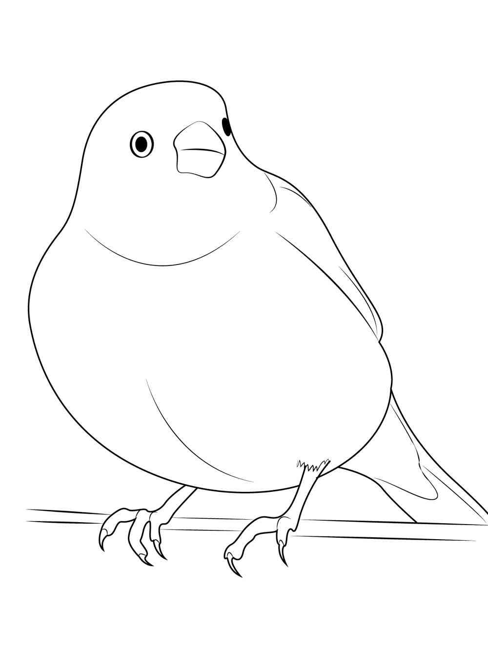 Easy Canary coloring page