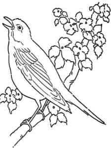 Canary 7 coloring page