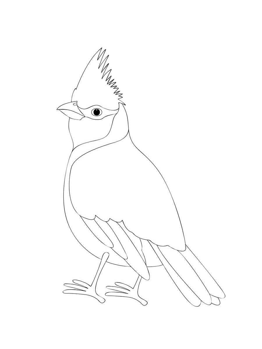 Very Simple Cardinal coloring page