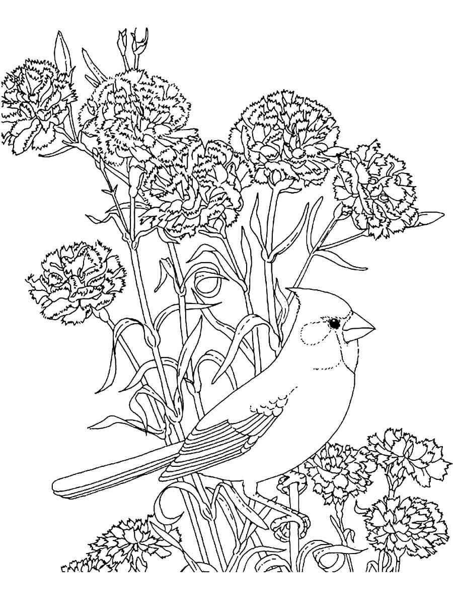 Realistic Northern Cardinal coloring page