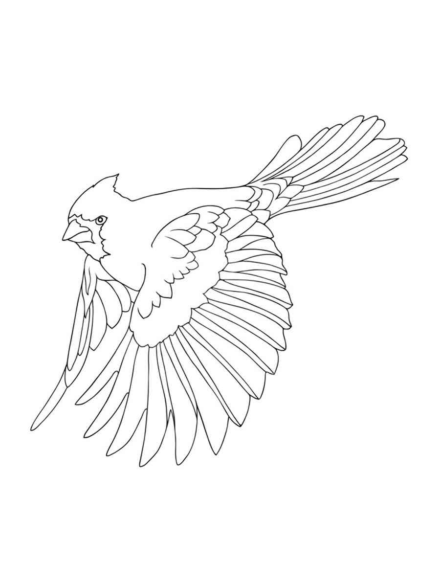 Flying Cardinal coloring page