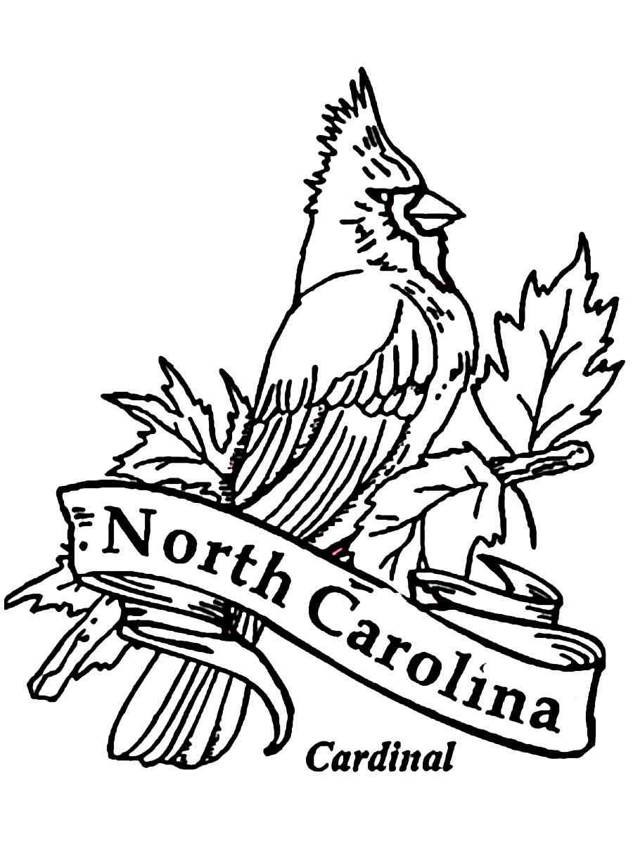 North Carolina Cardinal coloring page