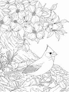 Cardinal by the tree with flowers coloring page
