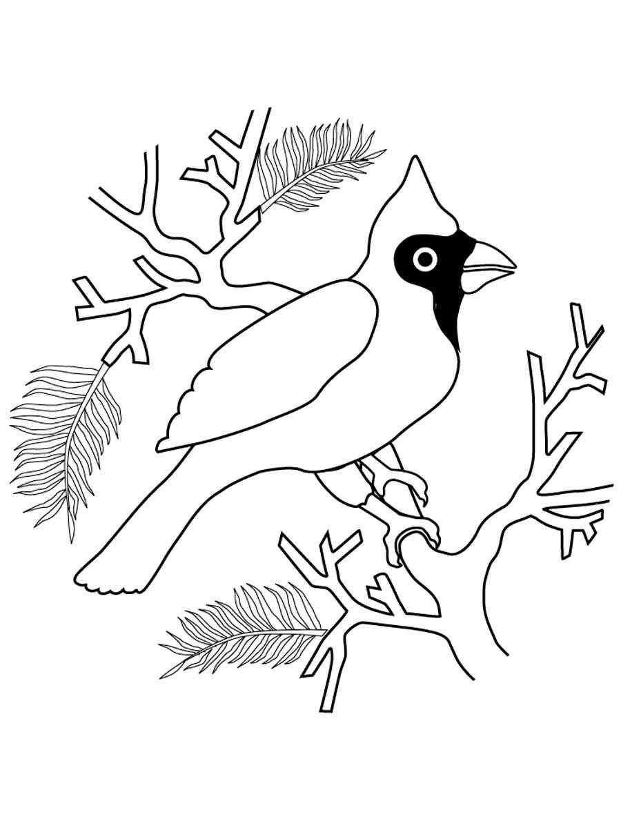 Cardinal on a tree branch coloring page