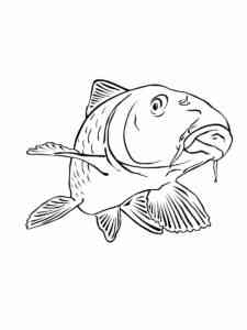 Funny Carp coloring page