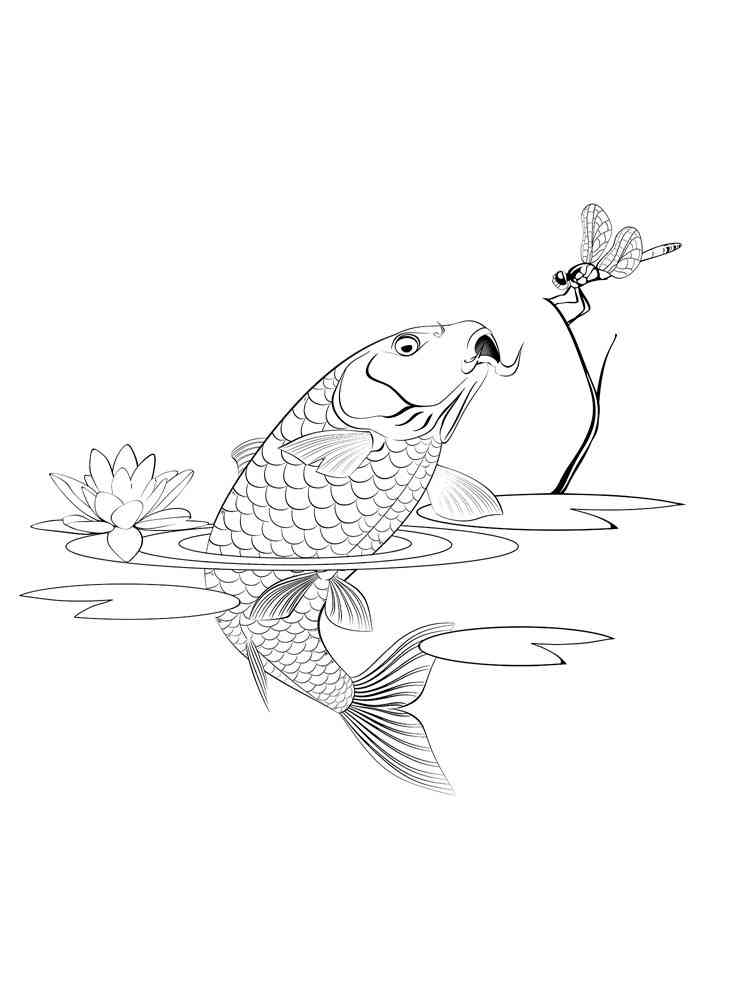 Carp and dragonfly coloring page