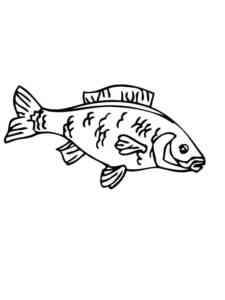 Lovely Carp coloring page