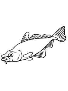 Scary Carp coloring page