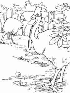 Cassowary walk in the woods coloring page
