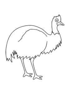 Cartoon Cassowary coloring page