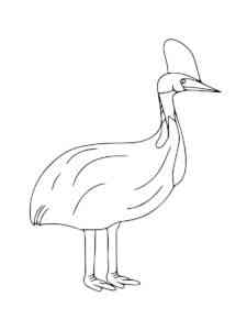 Simple Cassowary coloring page