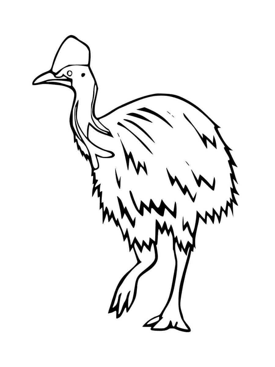 Realistic Southern Cassowary coloring page