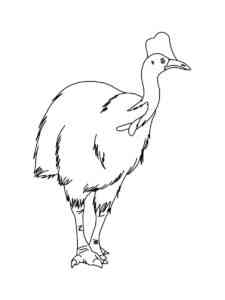 Simple Cassowary Bird coloring page