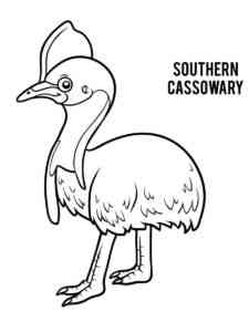Southern Cassowary coloring page