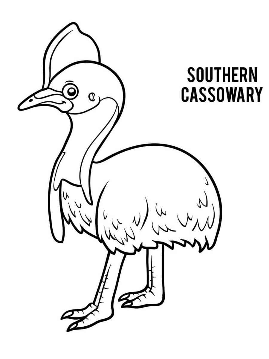 Southern Cassowary coloring page