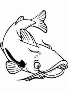 Catfish smiles coloring page