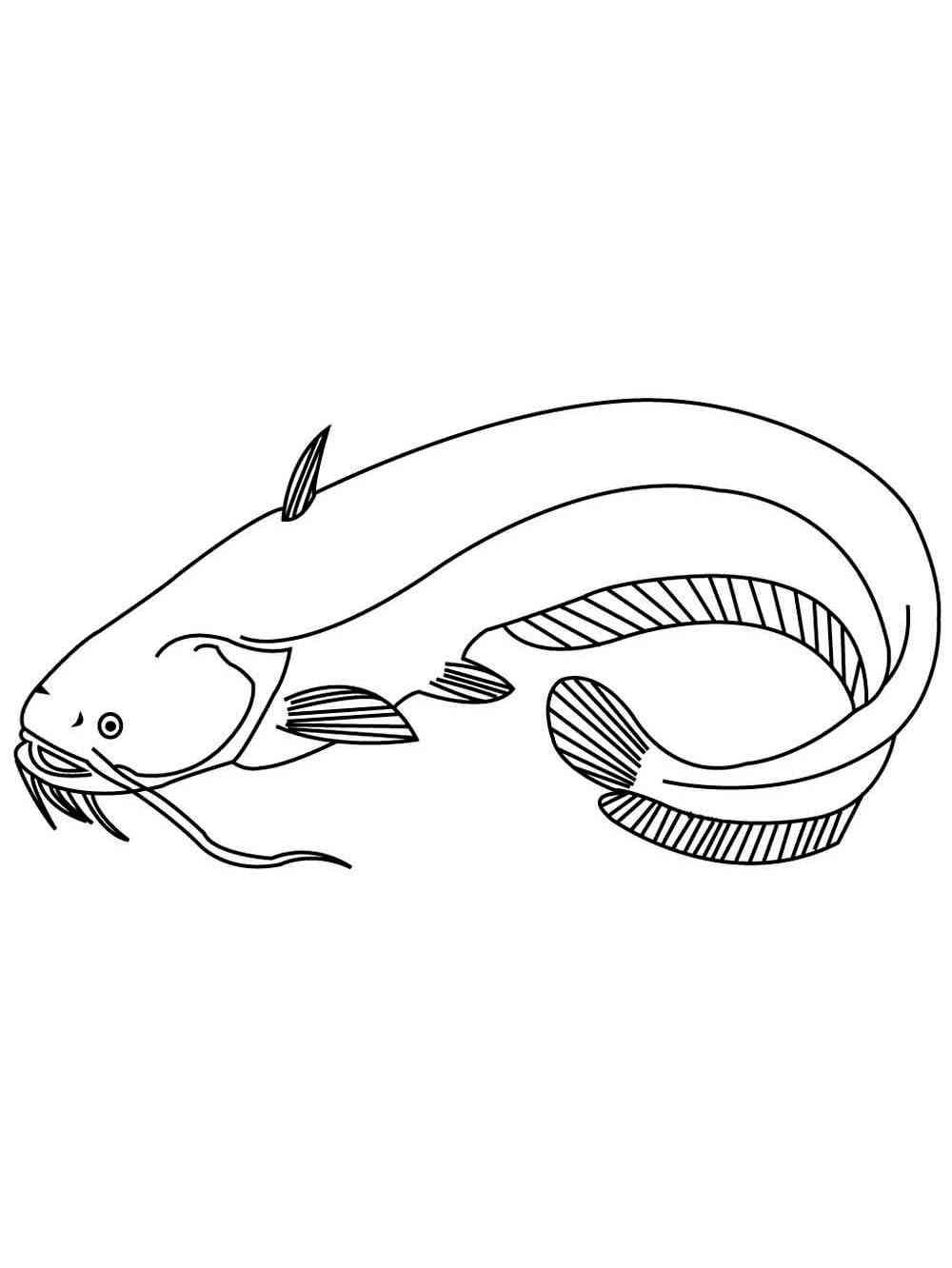 Catfish 13 coloring page