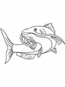 Funny Catfish coloring page
