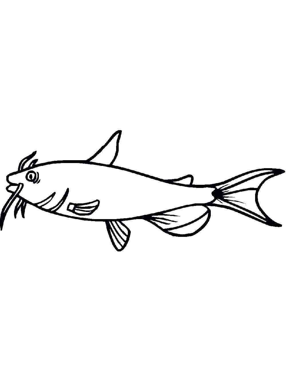 Easy Catfish coloring page