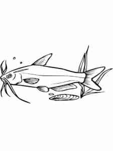 Catfish Underwater coloring page