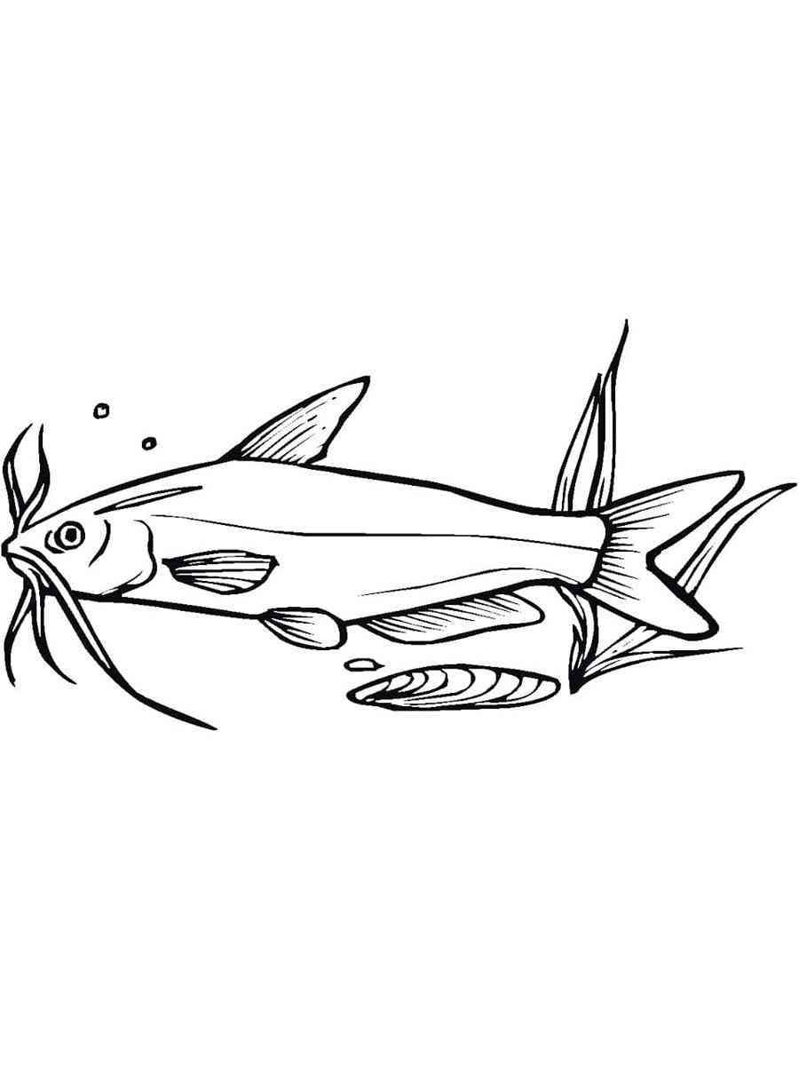 Catfish Underwater coloring page
