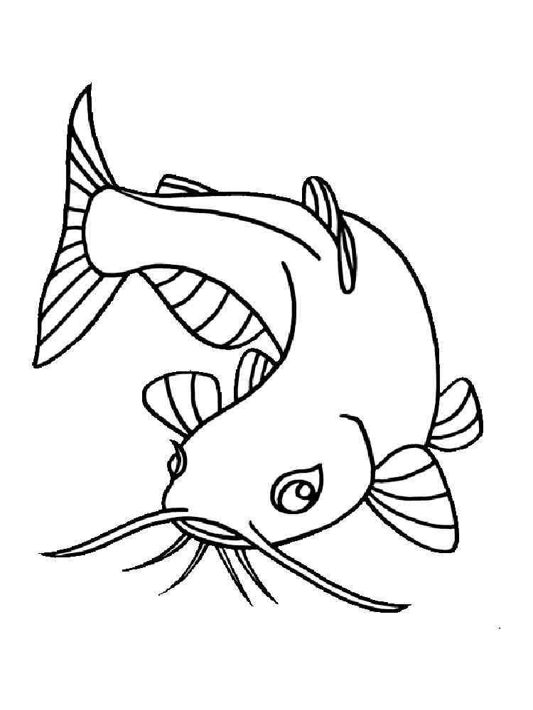Catfish 2 coloring page