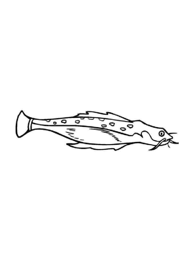 Catfish 5 coloring page