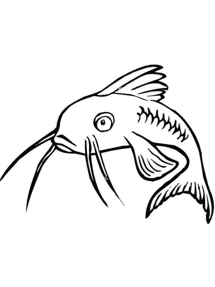Catfish 6 coloring page