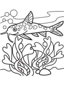 Cartoon Catfish coloring page