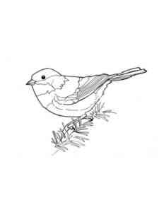 Funny Chickadee coloring page