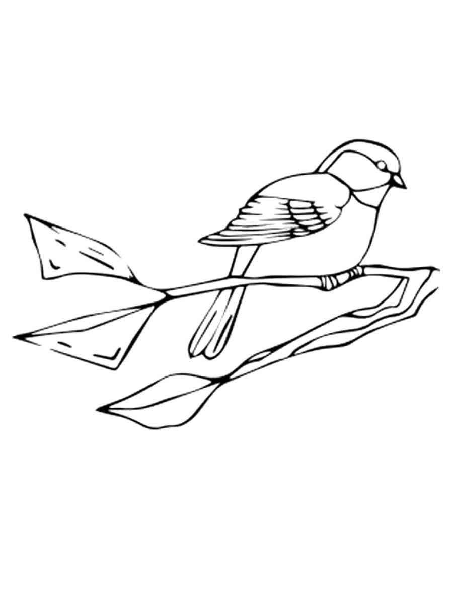 Chickadee Bird coloring page
