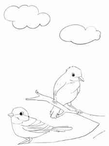 Two Chickadees on a branch coloring page
