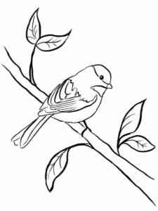 Chickadee on a branch with leaves coloring page