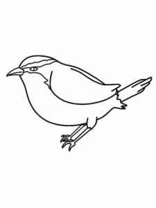 Simple Chickadee coloring page