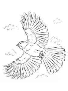 Flying Chickadee coloring page