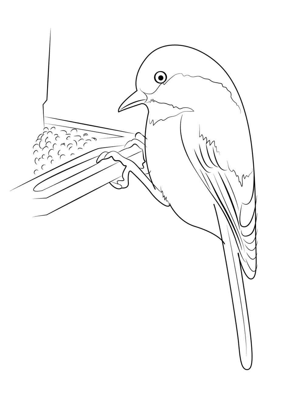 Chickadee eating from a feeder coloring page
