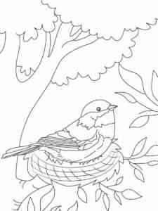 Chickadee sitting in the nest coloring page
