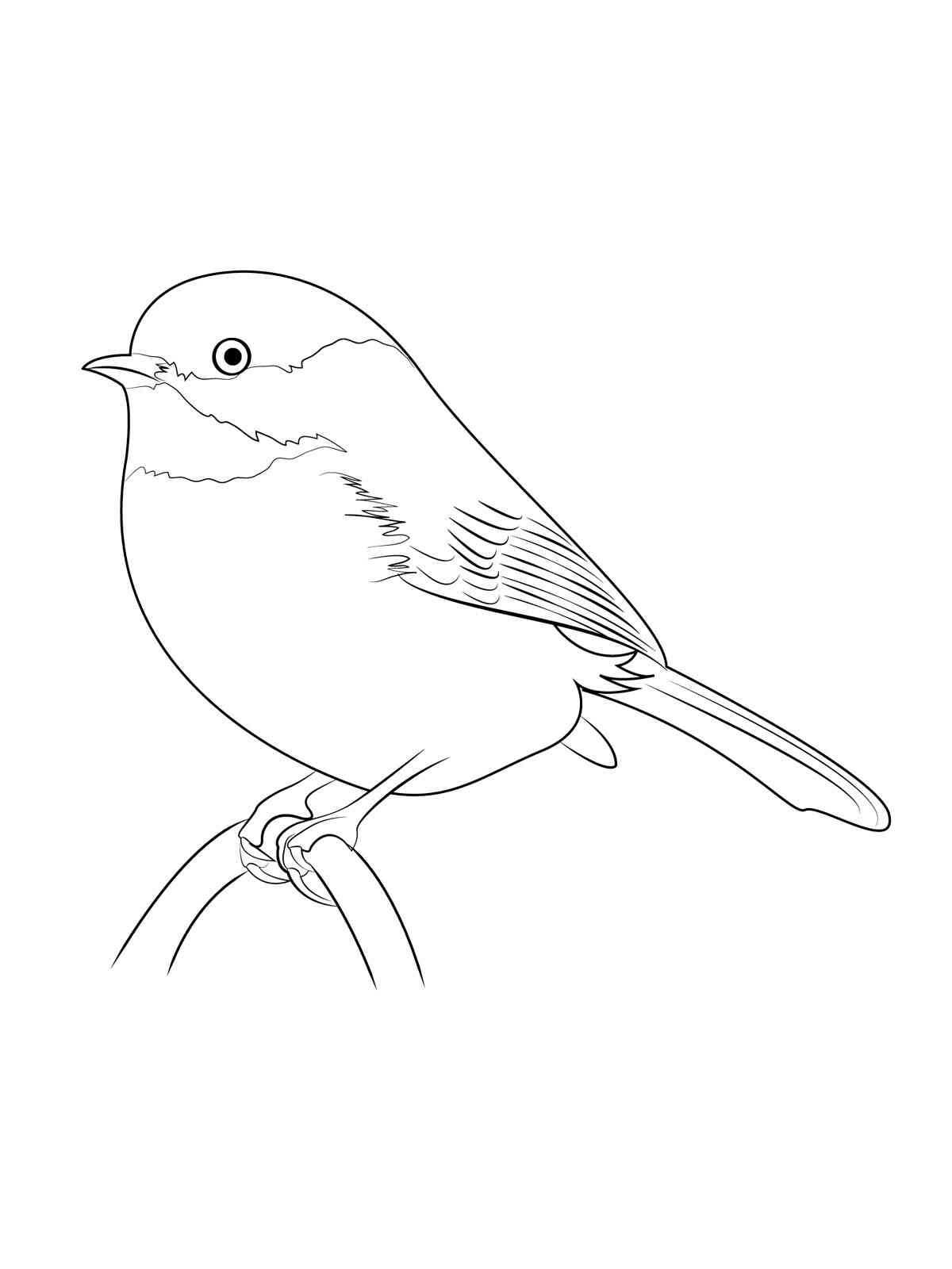 Easy Chickadee coloring page