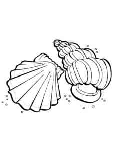 Clam 2 coloring page