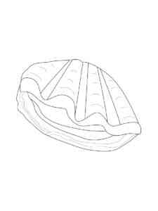 Clam 4 coloring page