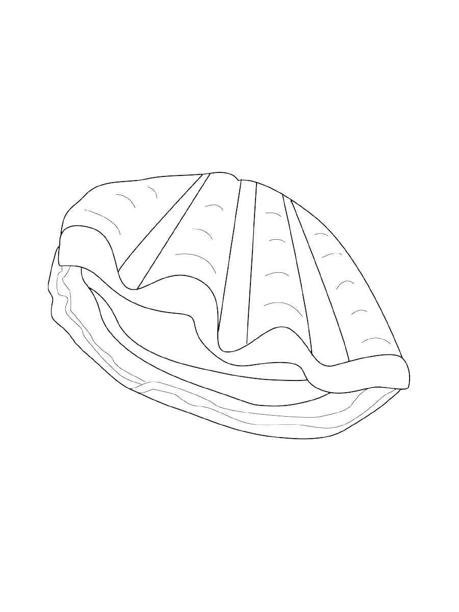 Clam 4 coloring page