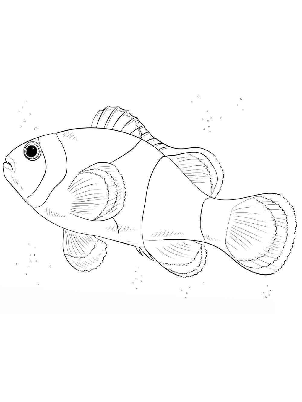 Realistic Clownfish coloring page