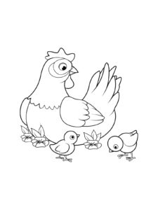 Chicken coloring page