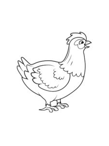 Chicken coloring page