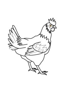 Chicken coloring page