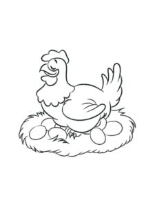 Chicken coloring page