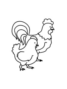 Chicken coloring page