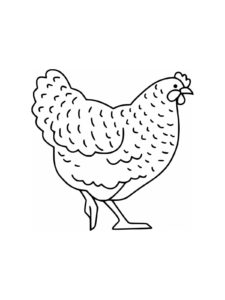 Chicken coloring page